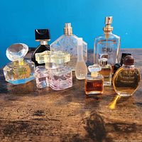 Group shot of all ten assorted perfume and cologne bottles