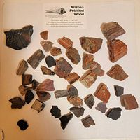 overhead view of all petrified wood pieces and card