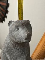 Front view showing head and measuring tape indicating height