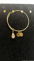 Full view of gold-tone Alex and Ani expandable bangle bracelet with crystal and logo charms
