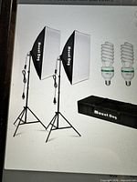 Kit components including two softboxes on stands, two spiral bulbs, carrying case (catalog image)