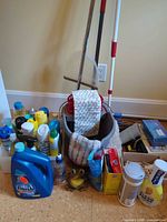 All items in lot grouped, including bucket, mop, cleaners