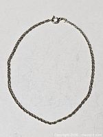 Full view of the 9" sterling silver rope chain with clasp