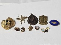 Full layout of all ten pins side by side