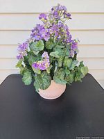 Front view showing entire potted arrangement in ceramic pot