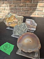 Group shot of all four specimens on acrylic stands