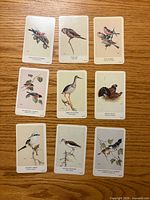 Fronts of nine General Cigar bird cards spread out on wood surface