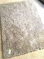 Full view of gray shag rug