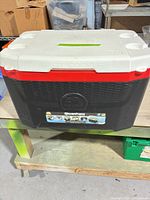 Front view showing Igloo logo, Quantum label and overall condition