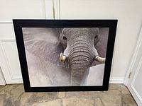 Front view of the framed elephant print leaning against wall