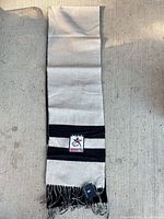 Full length view of grey and black striped scarf with patch and fringe