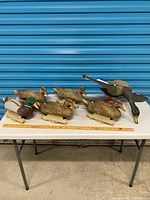 Overall view showing eight static decoys and one motorized decoy on table with ruler