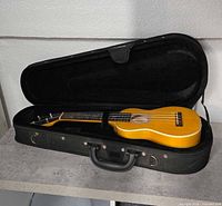 Kamoa soprano ukulele seated in open black hard case