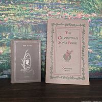 Front covers of both books displayed upright