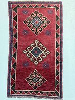 Full view of the rectangular red Shiraz rug showing overall design and fringe