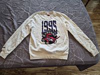 Front view of sweatshirt showing graphic and overall condition