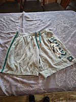 Full view of grey heather Nike shorts with teal side stripes laid flat