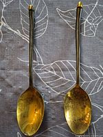 Front view of both brass serving spoons