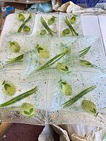 Group of eight fused glass plates on table, showing size variation and motif