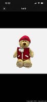 Front view of plush bear with red hat and vest