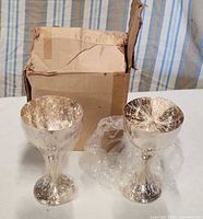 Two silver-tone goblets with box and plastic wrap