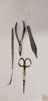 four stainless steel tools laid out: hook pick, cuticle nipper, tweezer, scissors