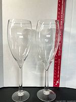 Both jumbo wine glasses standing side by side with ruler for scale