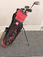 Full view Wilson youth stand bag with clubs inserted
