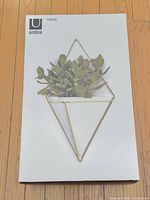 Front of Umbra Trigg box showing product image and branding