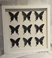 Front view of framed butterfly paper art