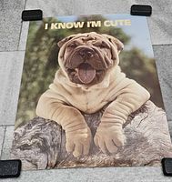 Full view showing entire poster held with corner weights