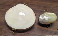 Both trinket boxes closed showing polished shell exteriors and metal loops