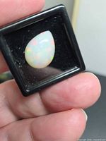 Opal in display case showing overall size and shape