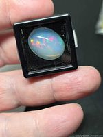 Front view of opal in case showing play of colour