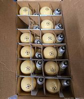 Open case showing yellow-tinted GE Bug Lite 100 W bulbs in cardboard dividers