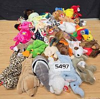 All 32 Ty Beanie Baby plush toys arranged on surface showing variety and tags