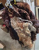 Multiple brown fur coats and collars on hangers