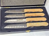 Open case showing four steak knives and foam interior