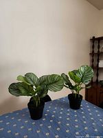 Both artificial potted plants on table