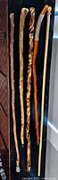 All five walking sticks hanging vertically showing full lengths