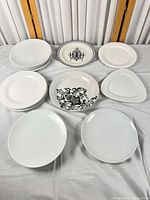 Group shot of all 14 plates arranged by size and style