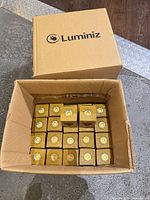 Open shipping box showing multiple individual boxed bulbs