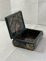 box open showing interior cavity and lid hinge