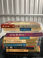 Stack of nine Chinese books upright showing spines