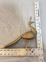 Profile view of brass peacock next to rulers showing length and height
