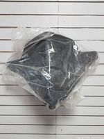 Windshield sealed in plastic bag