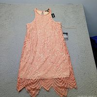 Full view of peach lace Express dress front