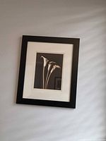 Front view of print with three lilies in black frame