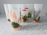 Six frosted highball glasses showing different cactus designs