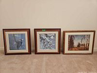 All three framed prints side by side